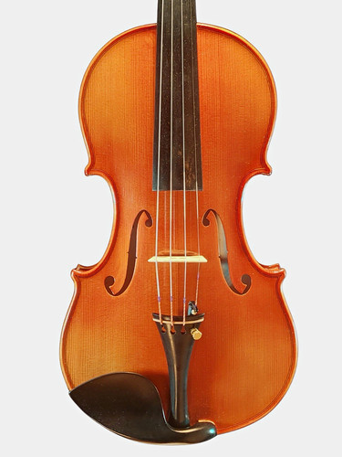 Violine akustisch 4 saitig - violine, 4-saitig