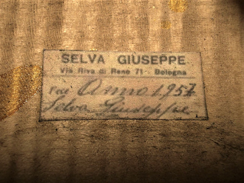 Cello lab selva bologna - cello, lab.
