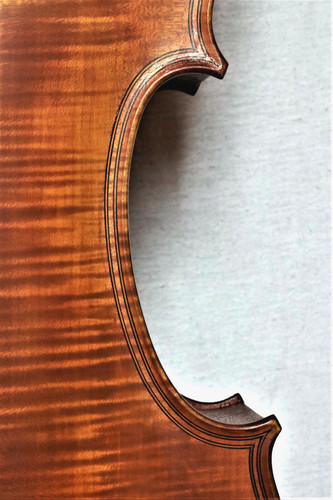 Cello lab selva bologna - cello,