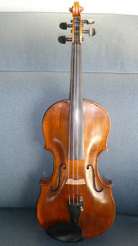 Violine klotz geige alt - 4.4,