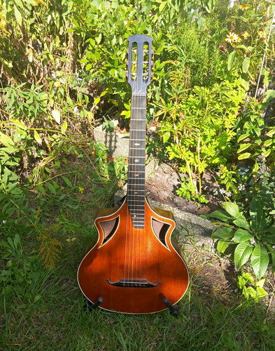 Antike wappen gitarre - antike, wappen-gitarre