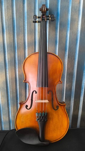 Geige violin set premium - geige,