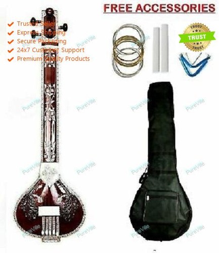 Indian musical professional - indian,