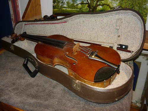 Violine 100j - 3/4,
