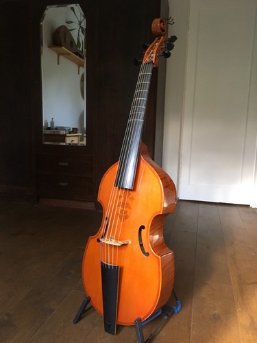Viola gamba bass - viola, viol