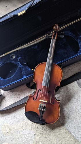 Geige violine - geige,