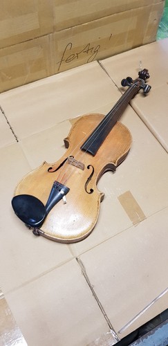 Alte geige violine - alte,