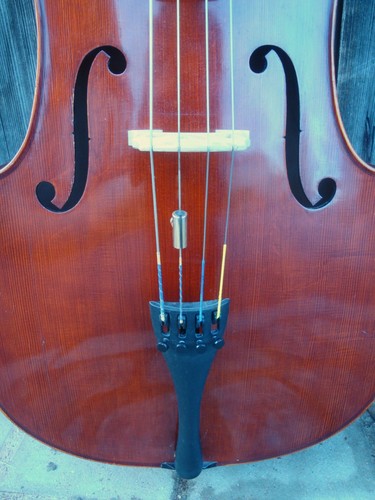 Cello benedikt lang - 4/4,