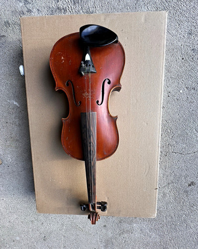 Akustische violine saitig - violine, 4-saitig