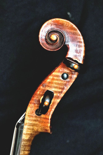 Old violin lab - ., "simpertus