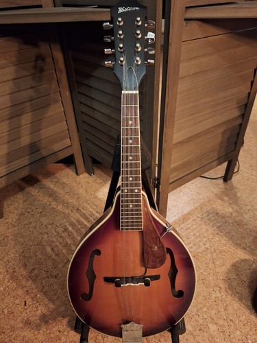 Mandoline washburn mit - washburn,