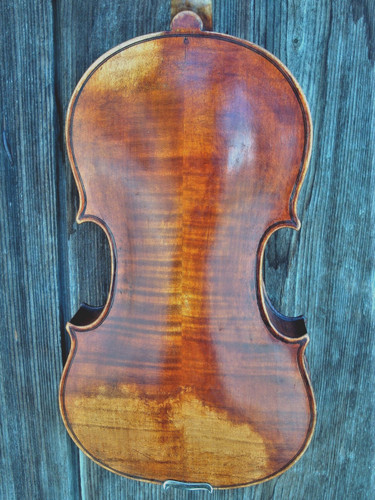 Geige bez contino 1919 - contino,
