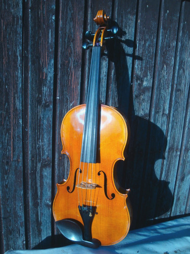 Imposante viola bratsche - imposante, /