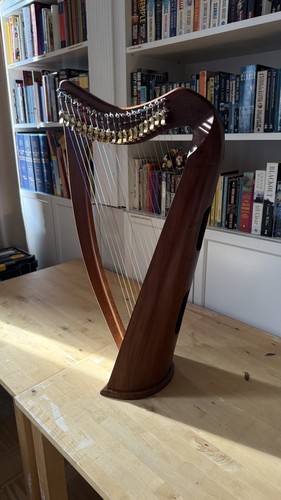 Salvi juno keltische - salvi,