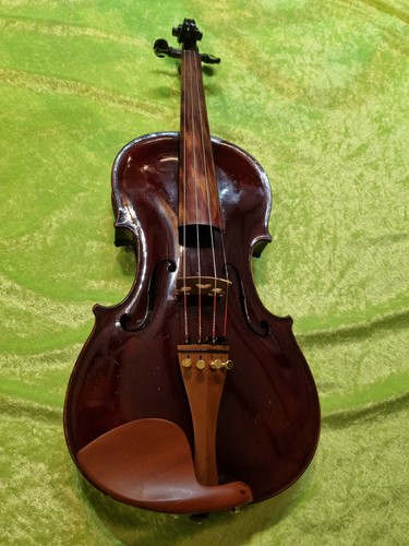 Stainer modell geige - stainer-modell, von