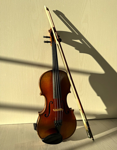 Akustische violine - akustische,