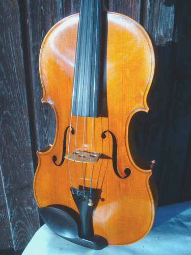 Viola bratsche 42 cm - bratsche,