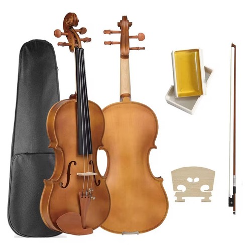 Violine geige mit koffer - geige,