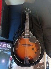 Verkaufe meine Mandolinen mit